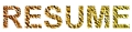 R�sum�
